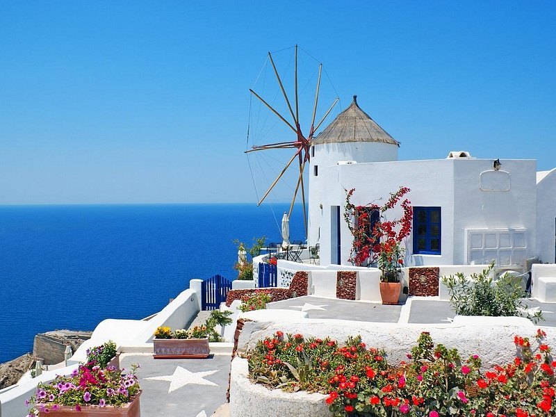 One of Oia's windmills seen behind a wall of bougainvillea