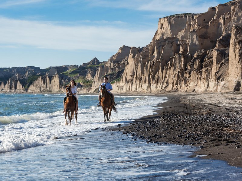 Horses walking the black sand at Vlychada below the white cliffs